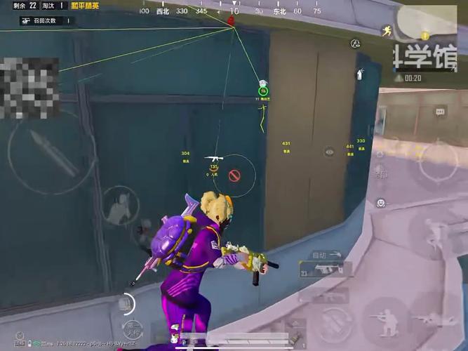 和平精英《火锅》辅助